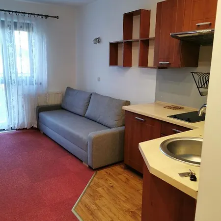 Hébergement de vacances Kwiatano - Basen & Jacuzzi & Sauna & Plac Zabaw Grzybowo (West Pomeranian)